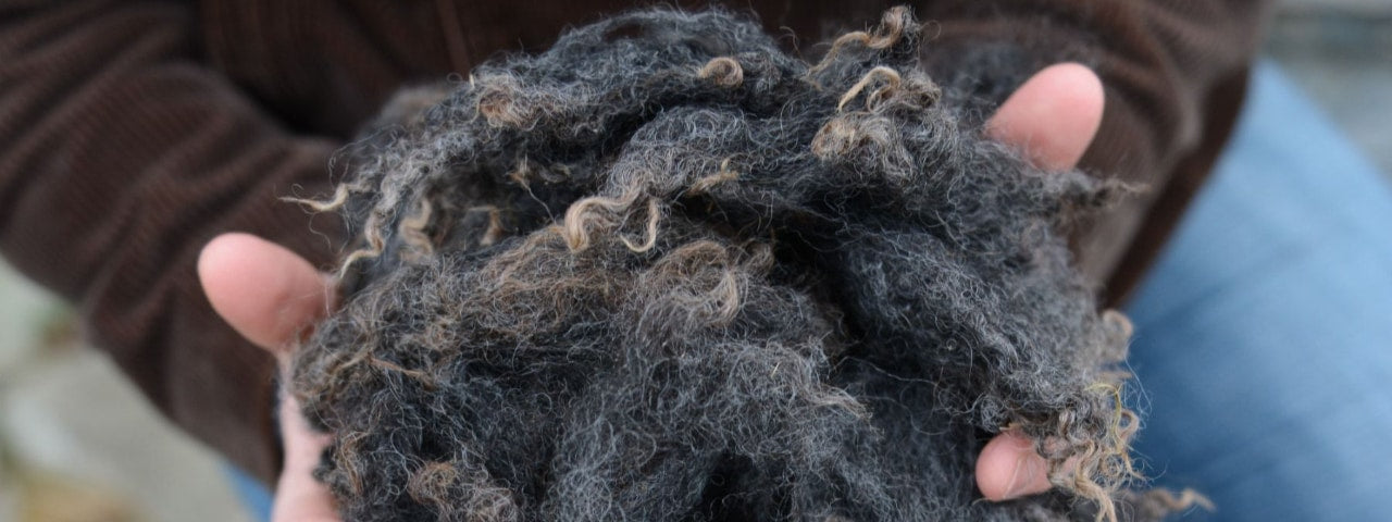 Wool Quality (#002)