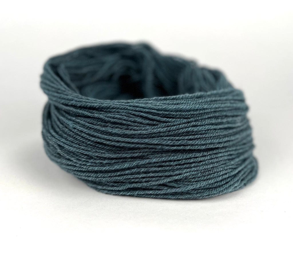 Saltwater - Tide Pool