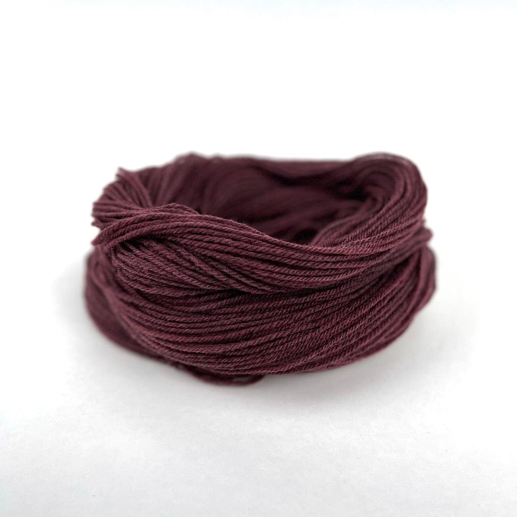 Saltwater - Winter Rose