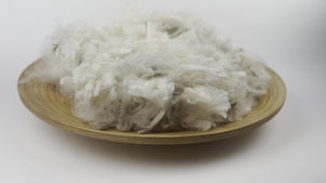 Cormo - Raw Wool