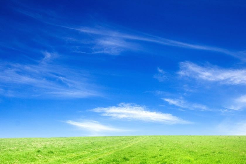 Grassy field with blue sky and clouds