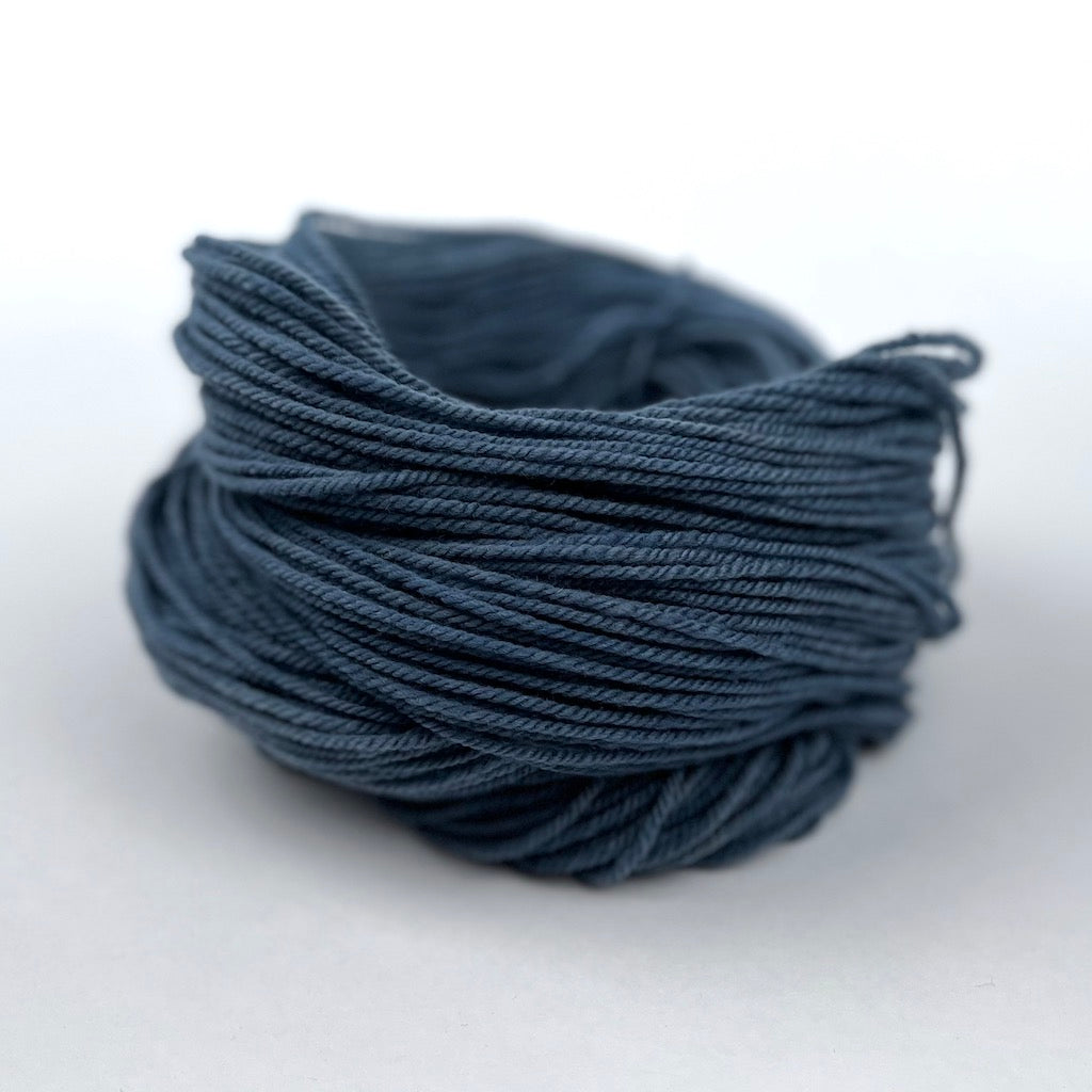 Studio Pack - Stellar's Jay