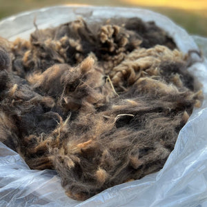 Wool Handling and Scouring Course - Free Wool
